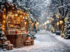 Fotopozadí - Vánoční večerní venkovní scéna 19