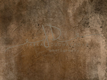 JD PHOTOGRAPHY  Fotopozadí - VINTAGE 23