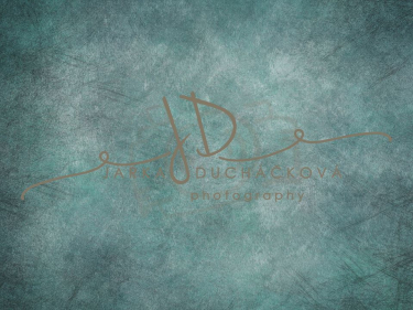 JD PHOTOGRAPHY  Fotopozadí - VINTAGE 27