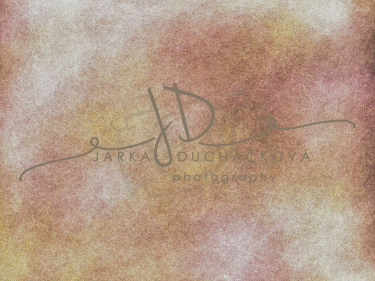 JD PHOTOGRAPHY  Fotopozadí - VINTAGE 36