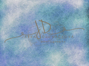 JD PHOTOGRAPHY  Fotopozadí - VINTAGE 49