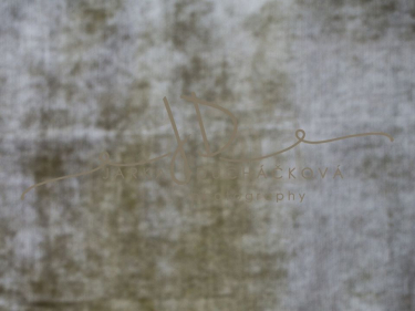 JD PHOTOGRAPHY  Fotopozadí - VINTAGE 56