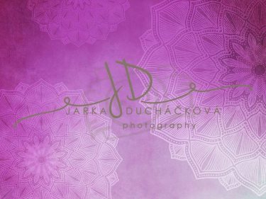 JD PHOTOGRAPHY  Fotopozadí - VINTAGE 59