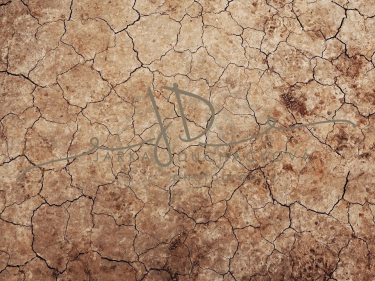 JD PHOTOGRAPHY  Fotopozadí - VINTAGE 70