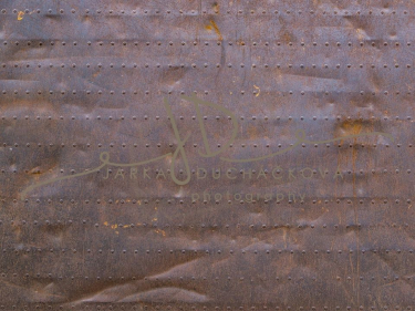 JD PHOTOGRAPHY  Fotopozadí - VINTAGE 80