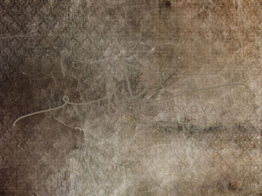 JD PHOTOGRAPHY  Fotopozadí - VINTAGE 83