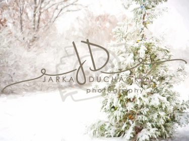 JD PHOTOGRAPHY  Fotopozadí - WINTER 54