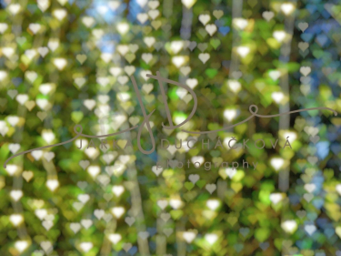 JD PHOTOGRAPHY  Fotopozadí - WINTER 55