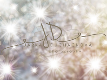 JD PHOTOGRAPHY  Fotopozadí - WINTER 57