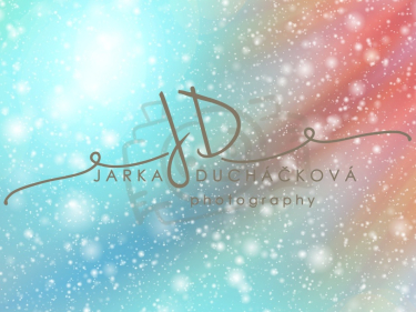 JD PHOTOGRAPHY  Fotopozadí - WINTER 58