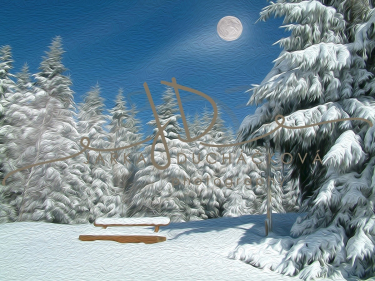 JD PHOTOGRAPHY  Fotopozadí - WINTER 63