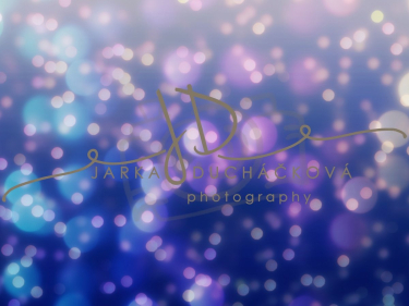 JD PHOTOGRAPHY  Fotopozadí - WINTER 64