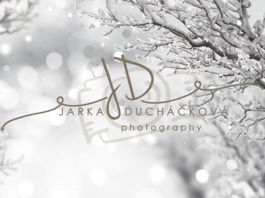 JD PHOTOGRAPHY  Fotopozadí - WINTER 69