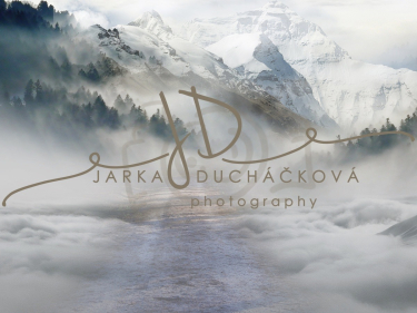 JD PHOTOGRAPHY  Fotopozadí - WINTER 70