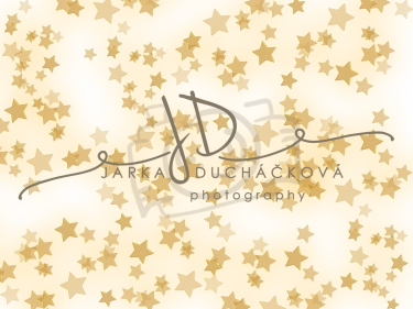 JD PHOTOGRAPHY  Fotopozadí - WINTER 81