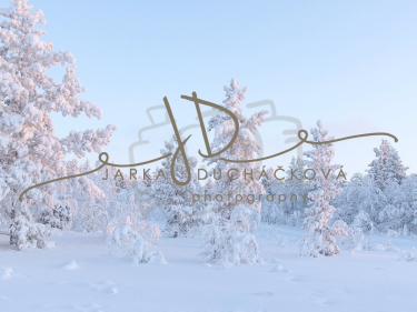 JD PHOTOGRAPHY  Fotopozadí - WINTER 83