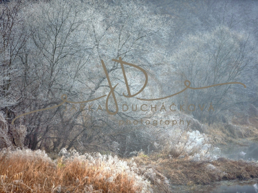 JD PHOTOGRAPHY  Fotopozadí - WINTER 85