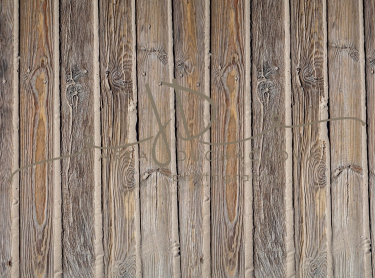 JD PHOTOGRAPHY  Fotopozadí - PODLAHA 558