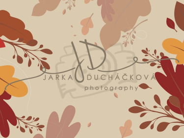 JD PHOTOGRAPHY  Fotopozadí - BAREVNÝ PODZIM 12