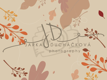 JD PHOTOGRAPHY  Fotopozadí - BAREVNÝ PODZIM 13
