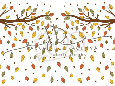 JD PHOTOGRAPHY  Fotopozadí - BAREVNÝ PODZIM 15