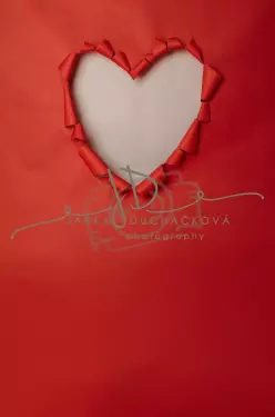 Fotopozadí - SRDCE 2 spojené