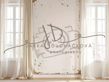 Fotopozadí - Stěna s okny 20