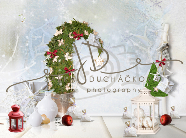 JD PHOTOGRAPHY  Vánoční fotopozadí - DESIGN 811