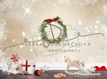 JD PHOTOGRAPHY  Vánoční fotopozadí - DESIGN 813