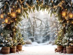 Fotopozadí - Brána v lese 21