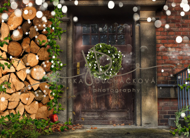 JD PHOTOGRAPHY  Vánoční fotopozadí - DESIGN 838