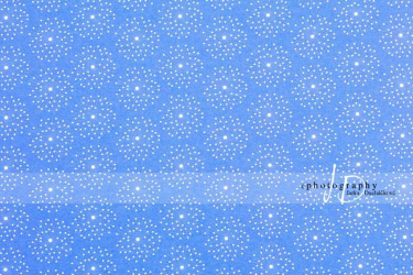 JD PHOTOGRAPHY  Fotopozadí - DESIGN 47