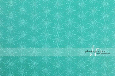 JD PHOTOGRAPHY  Fotopozadí - DESIGN 10