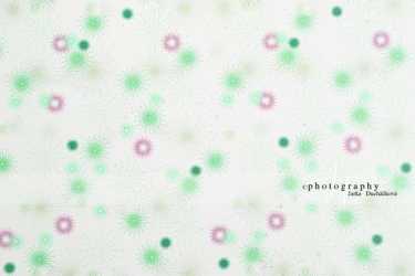 JD PHOTOGRAPHY  Fotopozadí - DESIGN 18