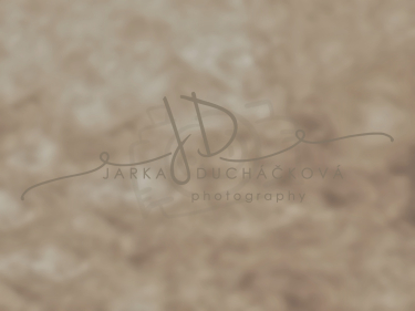 JD PHOTOGRAPHY  Fotopozadí - VINTAGE 139