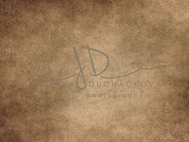 JD PHOTOGRAPHY  Fotopozadí - VINTAGE 155