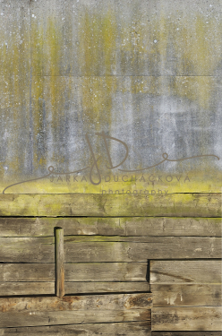 JD PHOTOGRAPHY  Fotopozadí - SPOJENÉ 304