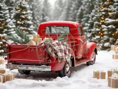 Fotopozadí - WINTER CAR 22