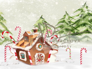 JD PHOTOGRAPHY  Fotopozadí DESIGN 859