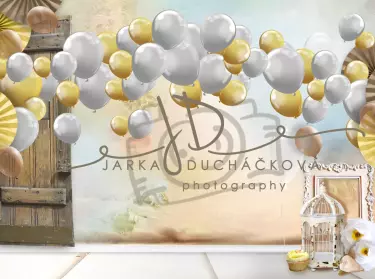 JD PHOTOGRAPHY  Fotopozadí - NAROZENINY 90