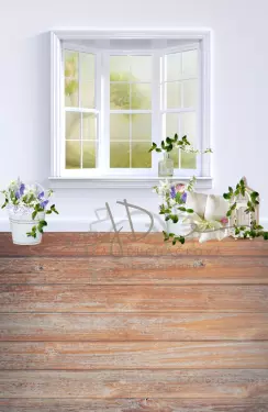 JD PHOTOGRAPHY  Fotopozadí DESIGN spojený 808