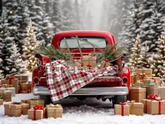 Fotopozadí - WINTER CAR 23