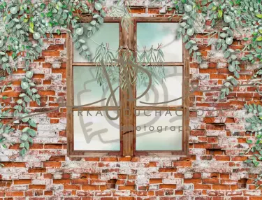 JD PHOTOGRAPHY  Fotopozadí - DESIGN 883