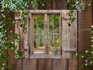 JD PHOTOGRAPHY  Fotopozadí - DESIGN 886