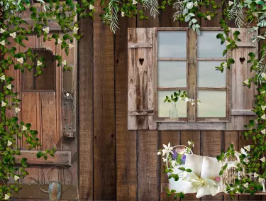 JD PHOTOGRAPHY  Fotopozadí - DESIGN 890