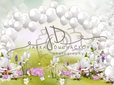 JD PHOTOGRAPHY  Fotopozadí - NAROZENINY 109