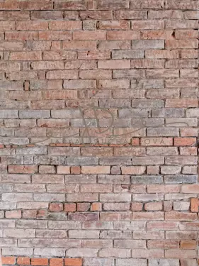 JD PHOTOGRAPHY  Fotopozadí - ZEĎ 98