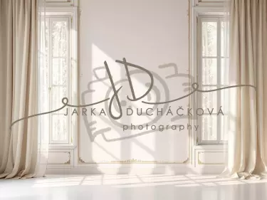 Fotopozadí - Stěna s okny 24