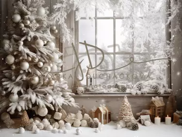 JD PHOTOGRAPHY  Fotopozadí - CHRISMAS WINTER 23
