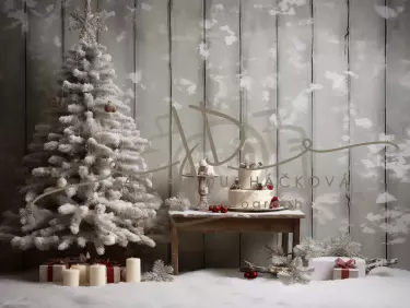 JD PHOTOGRAPHY  Fotopozadí - CHRISMAS WINTER 41